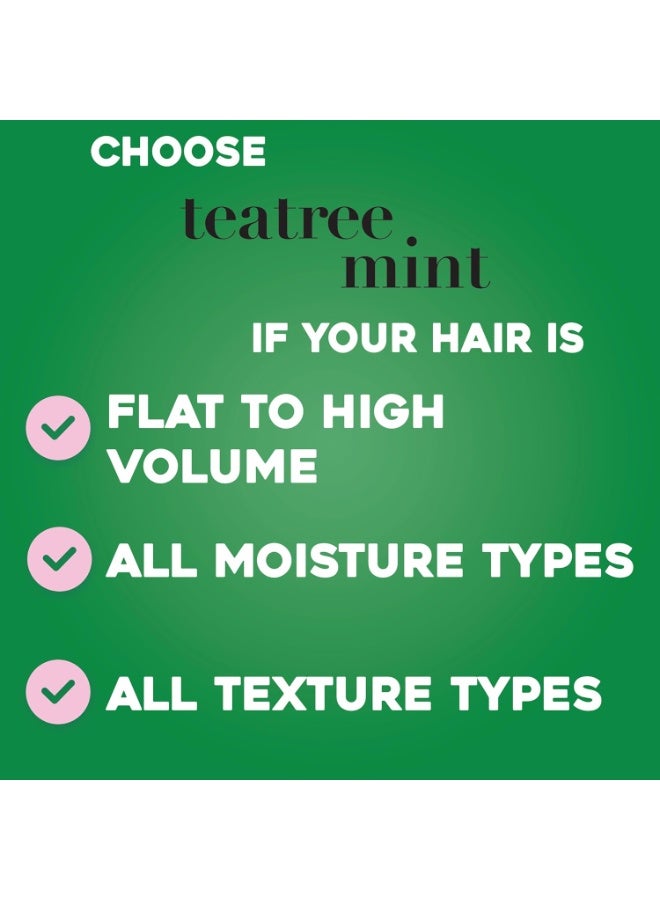 أو جي إكس شامبو مرطب بزيت شجرة الشاي والنعناع - خالي من الكبريتات - 385 مل - Image 5