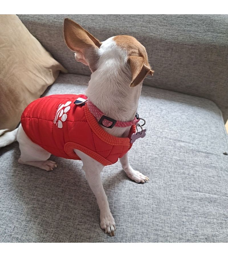 1 Pet Blue Winter Warm Dog Coat For Small Dogs Puppy Cat Soft Pet Apparel Cold Weather Medium - Image 5