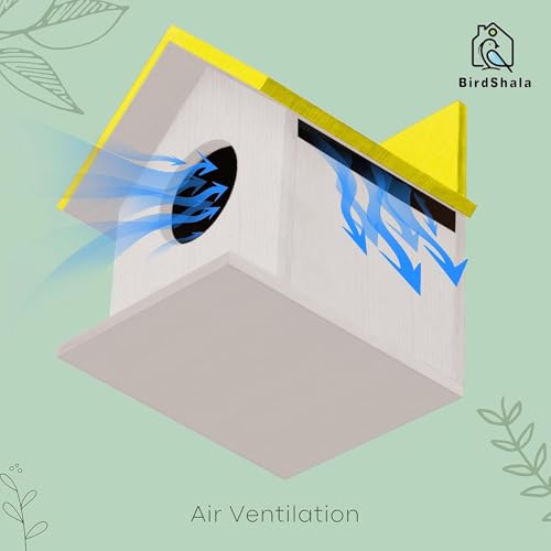 BIRDSHALA Bird House for Sparrow, Budgies & Finches with Air Ventilation and Mounting Hook (Yellow, Medium) - Image 4