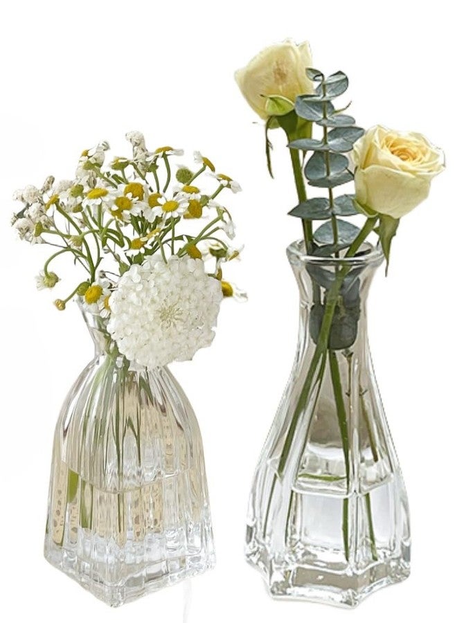 yaocoral Set of 2 Small Glass Bud Hydroponic Vase,Mini Clear Glass Vase Decorative for Wedding Farmhouse Party Home Centerpieces Decor - Image 1