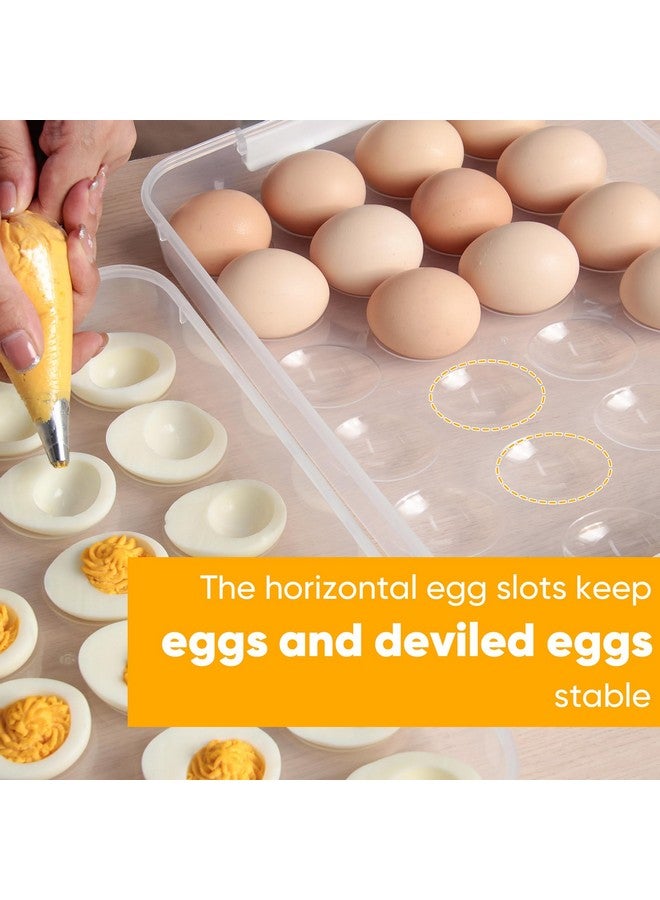 Newness Deviled Egg Containers with Lid, (Set of 2), Plastic Deviled Egg Carrier with Handle for 48 Eggs, Clear Storage Devil Egg Platter, Fridge Portable Egg Tray, Perfect for Picnic and Party - Image 3