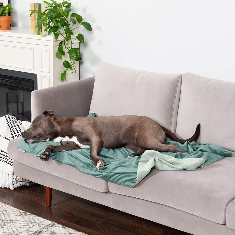 Waterproof Throw Blanket for Dogs & Indoor Cats, Washable - Two-Tone Luxe Velvet Dog Blanket - Celadon Green, Large - Image 3