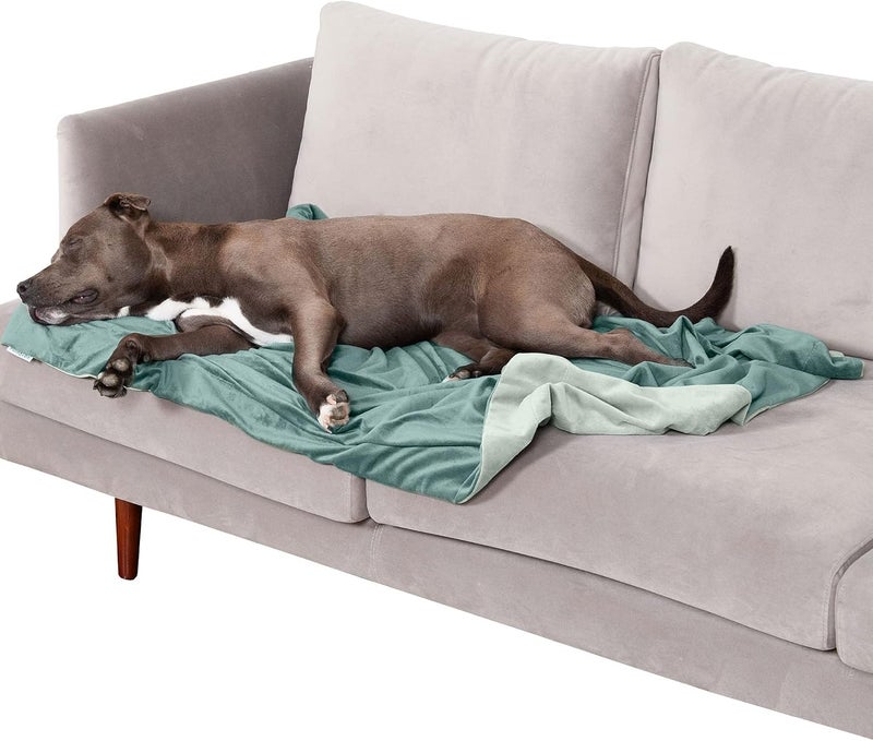 Waterproof Throw Blanket for Dogs & Indoor Cats, Washable - Two-Tone Luxe Velvet Dog Blanket - Celadon Green, Large - Image 1