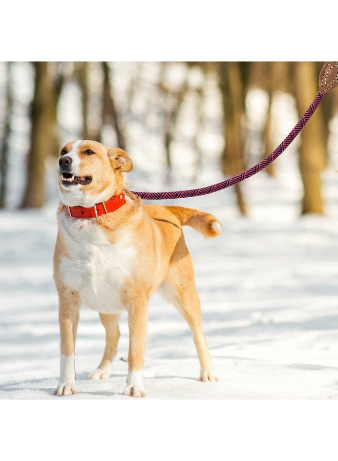 مايل هاي لايف Mile High Life | حبل لتسلق الجبال للكلاب مع مشبك معدني قوي ومتين | اتصال مخصص من الجلد الأصلي بغرز قوية (وردي ساخن، 72 بوصة (عبوة من قطعة واحدة)) - Image 2