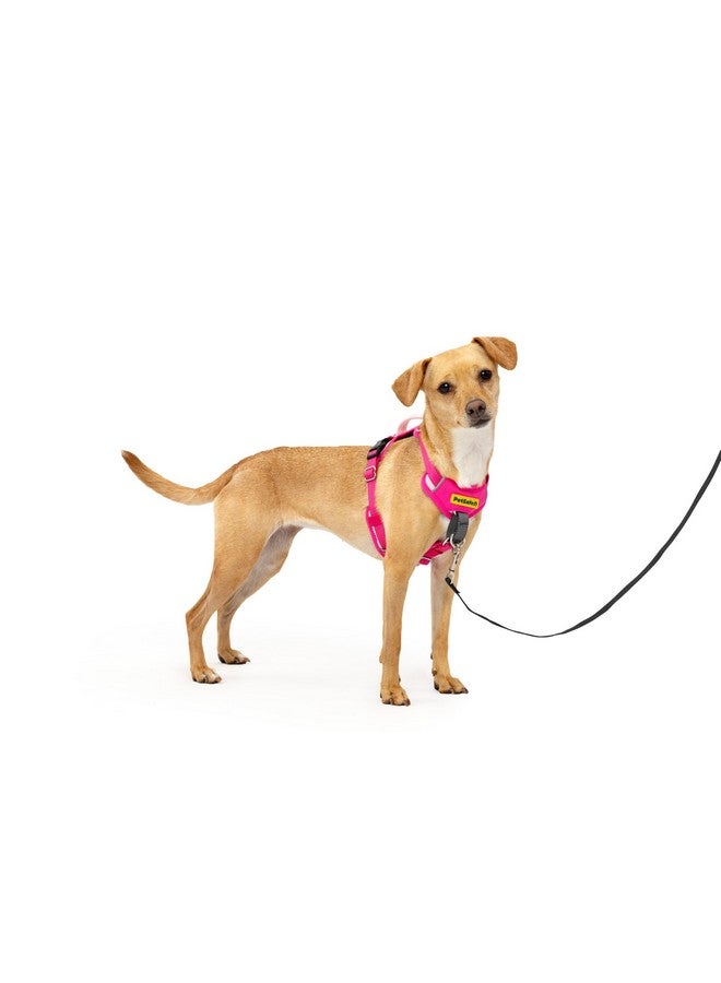 بيت سيف حزام PetSafe Easy Walk Comfort No-Pull Dog Harness ببطانة كاملة للجسم - مشي أفضل من أول استخدام - 5 نقاط تعديل مقاس صغير جدًا، وردي - Image 1
