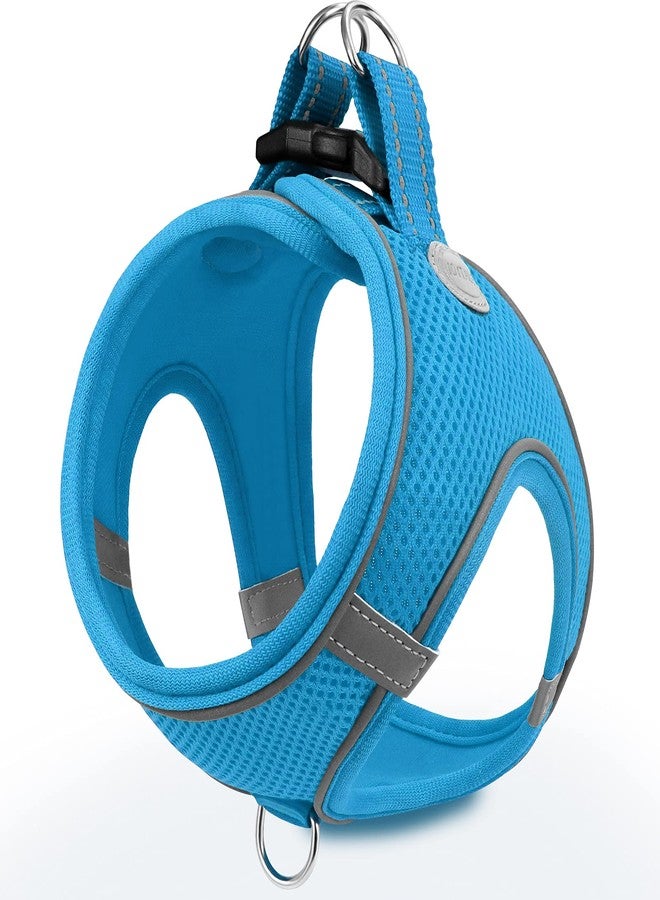 Joytale Small Dog Harness, Breathable Mesh Step-in Vest, Reflective Soft Padded Harnesses for Small and Medium Dogs, Sky Blue, M - Image 1