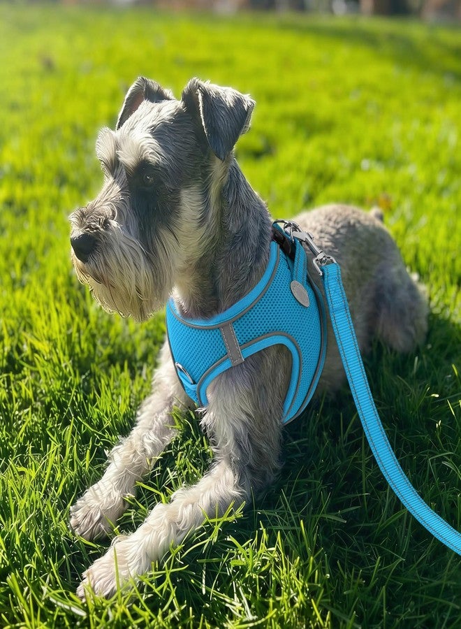 Joytale Small Dog Harness, Breathable Mesh Step-in Vest, Reflective Soft Padded Harnesses for Small and Medium Dogs, Sky Blue, M - Image 2
