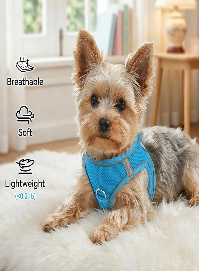 Joytale Small Dog Harness, Breathable Mesh Step-in Vest, Reflective Soft Padded Harnesses for Small and Medium Dogs, Sky Blue, M - Image 4