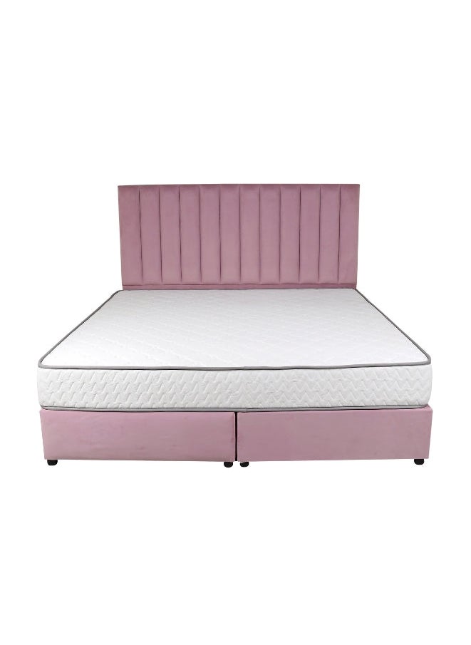 Bed and Mattress Zone Opulence Upholstered Bed 200 X 120 Twin Size Pink Color  - Image 1