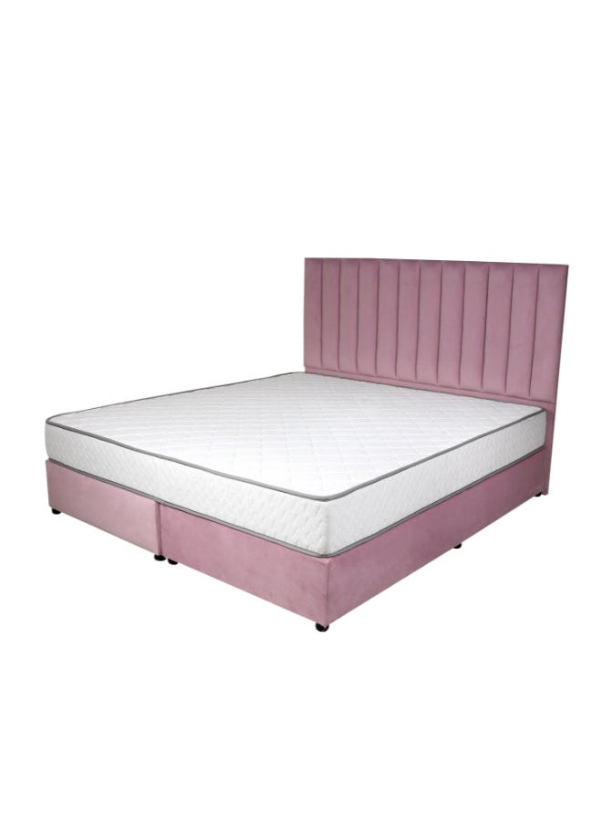 Bed and Mattress Zone Opulence Upholstered Bed 200 X 120 Twin Size Pink Color  - Image 2