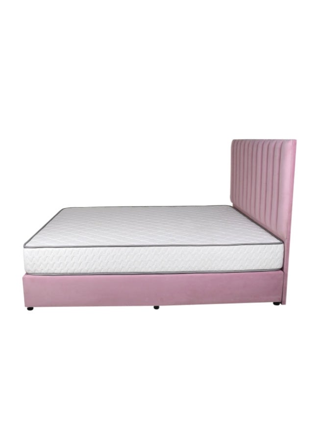 Bed and Mattress Zone Opulence Upholstered Bed 200 X 120 Twin Size Pink Color  - Image 3