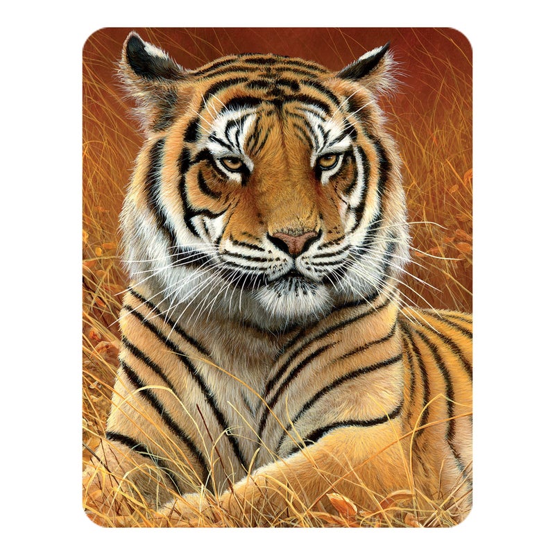 3D LiveLife Magnet  Aloof from Deluxebase Lenticular 3D Tiger Fridge Magnet Magnetic Decor for Kids and Adults with Artwork Licensed from Renowned Artist Jeremy Paul