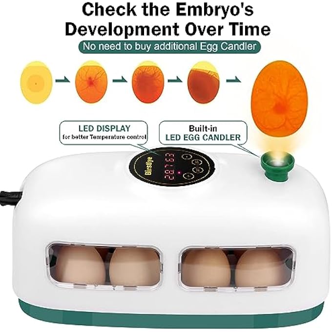 Bandai Egg Incubator 8 Eggs Poultry Hatcher Mini Chicken Incubator For Hatching Chicks With Humidity Temperature Control And Display For Quail Duck Goose Bird Eggs White - Image 3