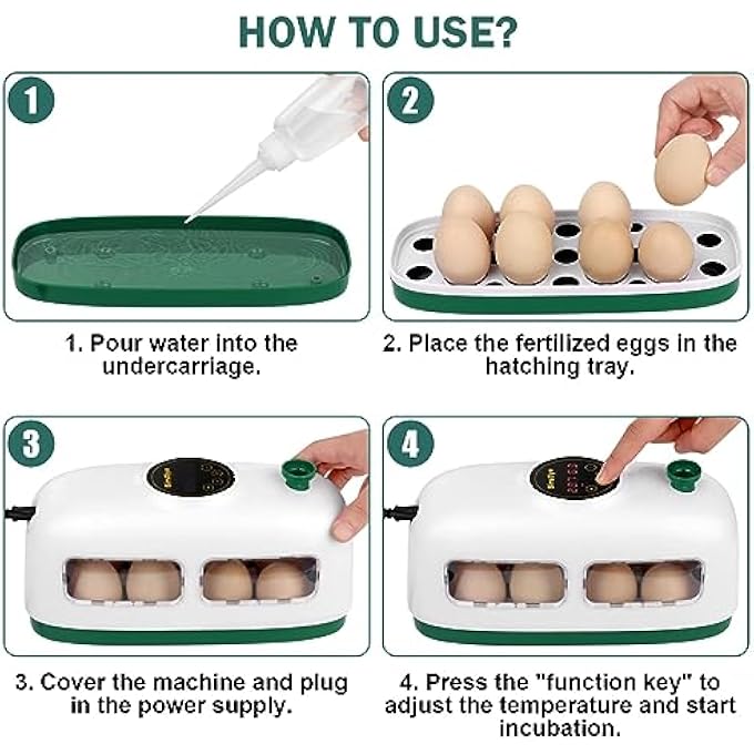 Bandai Egg Incubator 8 Eggs Poultry Hatcher Mini Chicken Incubator For Hatching Chicks With Humidity Temperature Control And Display For Quail Duck Goose Bird Eggs White - Image 4