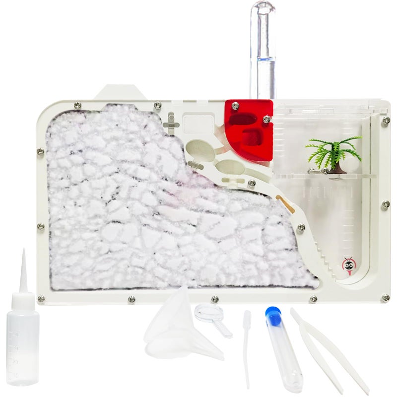 EXBEPE Sand Ant Farm Castle for KidsLarge Ant Habitat to Study Insect BehaviorAnt Colony Ecosystem Science Educational Gift for Classroom - Image 2