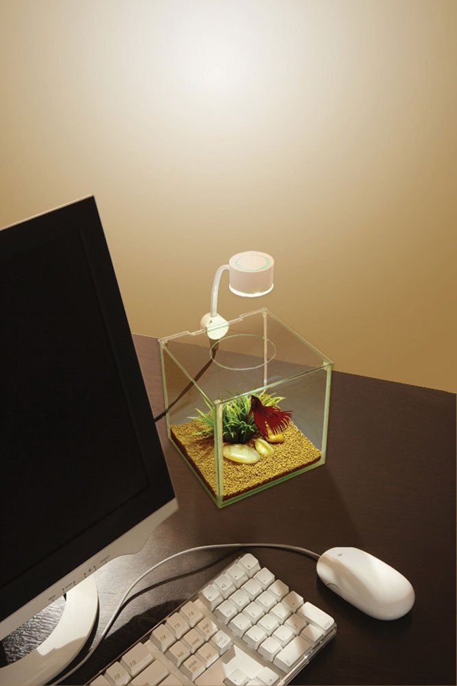 Marina CUBUS Glass Betta Kit â€“ Elegant Glass Aquarium for Homes or Offices - Image 4