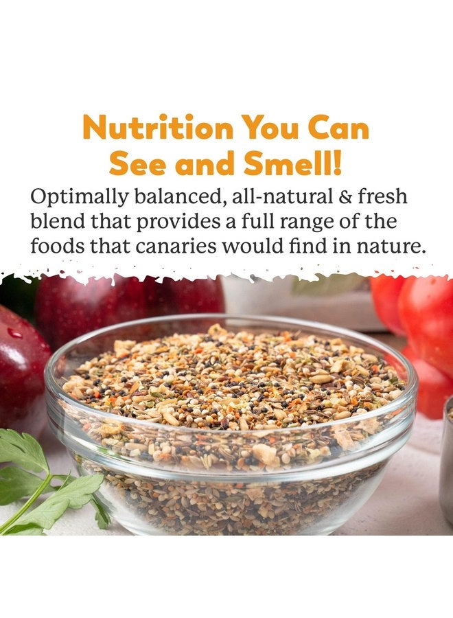 دي آر. هارفي مزيج دكتور هارفي المذهل للكناري، طعام طبيعي للكناري (4 أرطال) - Image 4