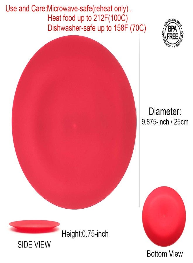 KOXIN-KARLU 10-inch Dinner Plates, Reusable Plastic Plates for Picnic, Set of 12 Multicolor - Image 2