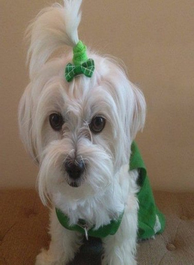 شينكو كرافت مجموعة تشينكو كرافت 40 قطعة/20 زوجًا من ربطات شعر الكلاب الجديدة مع مشابك، منتجات العناية بالحيوانات الأليفة، ألوان وأنماط متنوعة، ربطات شعر للحيوانات الأليفة، إكسسوارات الكلاب (ربطة شعر مع مشبك). - Image 3