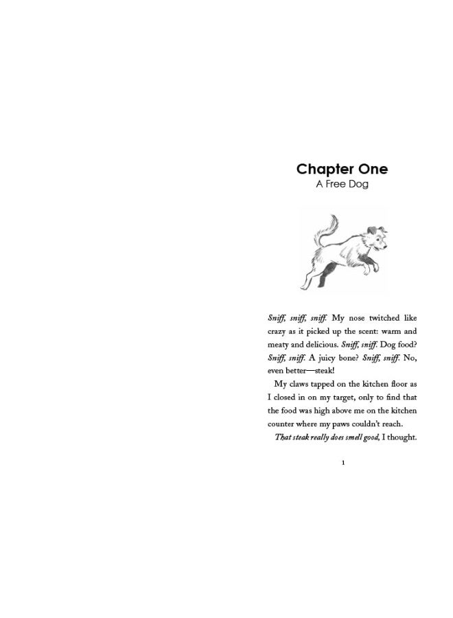 Rolo's Story - Image 2