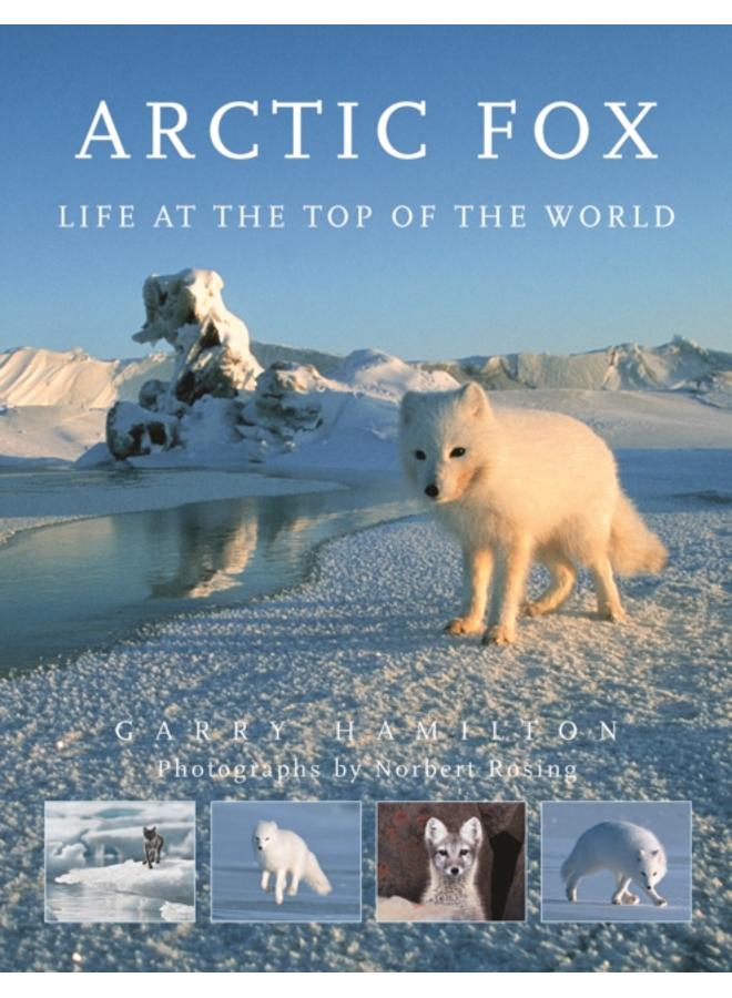 Arctic Fox : Life at the Top of the World 