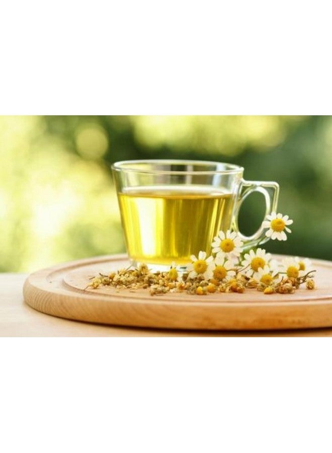 Nature Tea البابونج - ماتريكاريا ريكوتيتا زهور جافة مفككة - من ناتشر تي (2 أونصة) - Image 4