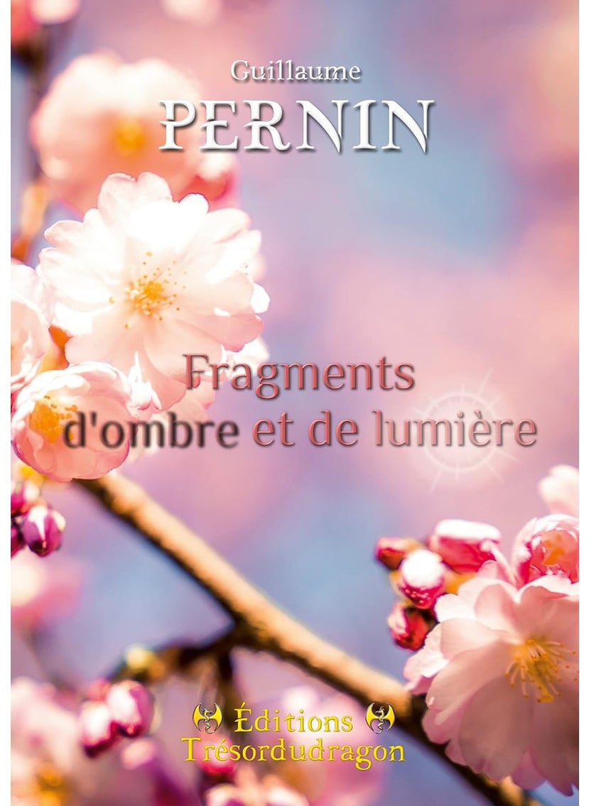 Fragments d'ombre et de lumière 