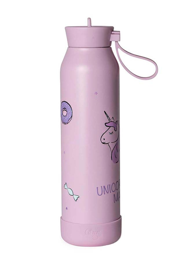 SS Water Bottle 500 ML - Stormy Unicorn - pzsku/Z08A4741499B93E3349FDZ/45/_/1717404188/e26ce670-e371-4aef-ab61-da2626fd8234