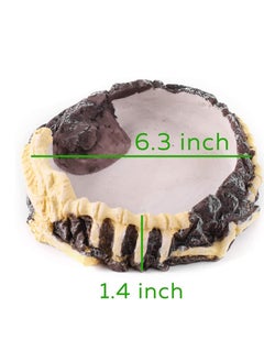 Y&D 2 Pack Reptile Food Bowls - Water and Bowls, Novelty Bowl for Lizards, Young Bearded Dragons, Small Snakes More Made from Non-Toxic, BPA-Free Plastic  - Image 4