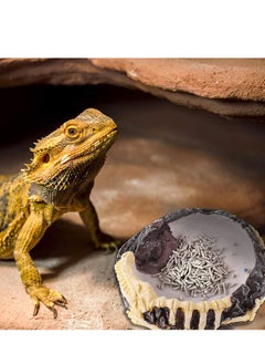 Y&D 2 Pack Reptile Food Bowls - Water and Bowls, Novelty Bowl for Lizards, Young Bearded Dragons, Small Snakes More Made from Non-Toxic, BPA-Free Plastic  - Image 3
