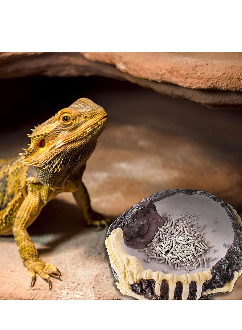 Y&D 2 Pack Reptile Food Bowls - Water and Bowls, Novelty Bowl for Lizards, Young Bearded Dragons, Small Snakes More Made from Non-Toxic, BPA-Free Plastic - Image 3