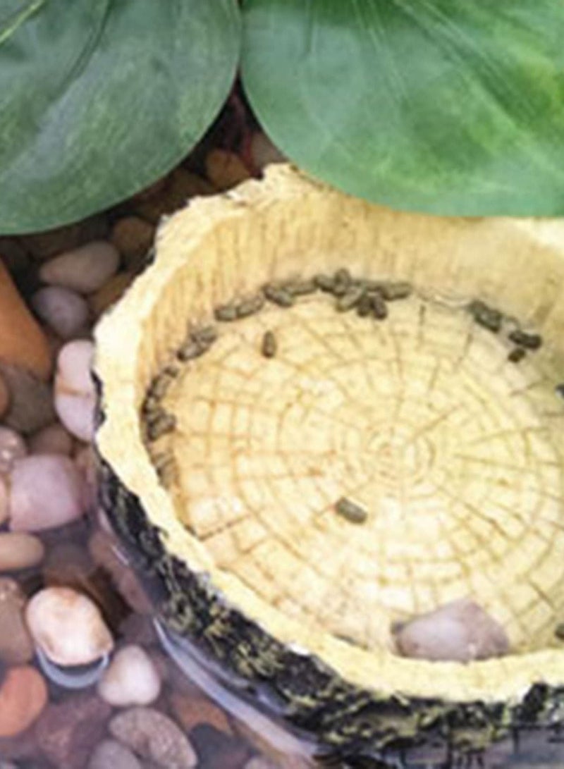 Y&D 2 Pack Reptile Food Bowls - Water and Bowls, Novelty Bowl for Lizards, Young Bearded Dragons, Small Snakes More Made from Non-Toxic, BPA-Free Plastic - Image 2