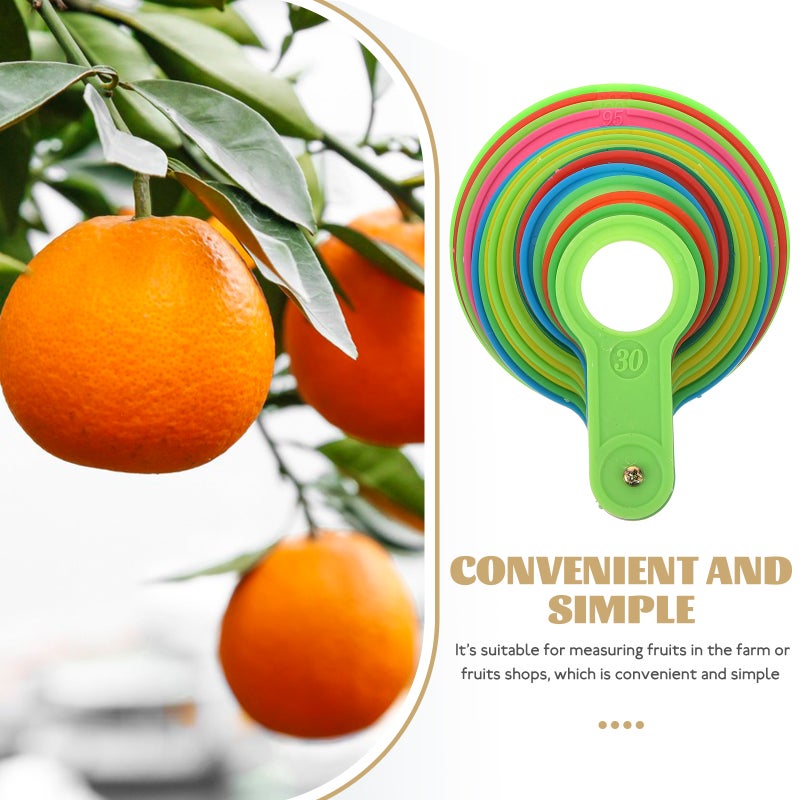 Fruits Measurement Lap Diameter Measuring Tool for Oranges Citrus - Image 3