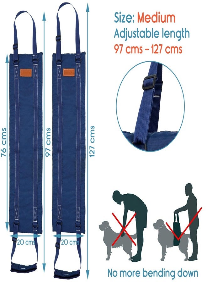 KosmoCare Dog Sling Support and Rehab Harness for Weak Rear Legs | Dog Hip Support Harness | Adjustable Straps Support for Elderly, Injured and Disabled Dogs - Medium - Image 3