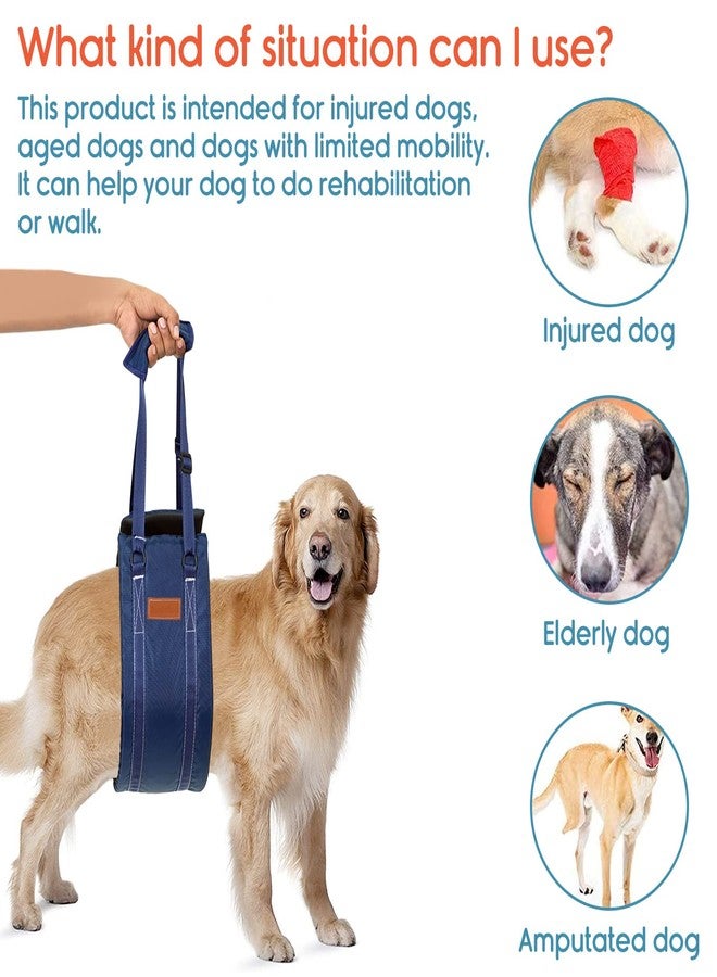 KosmoCare Dog Sling Support and Rehab Harness for Weak Rear Legs | Dog Hip Support Harness | Adjustable Straps Support for Elderly, Injured and Disabled Dogs - Medium - Image 2