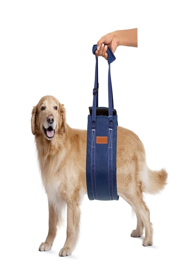 KosmoCare Dog Sling Support and Rehab Harness for Weak Rear Legs | Dog Hip Support Harness | Adjustable Straps Support for Elderly, Injured and Disabled Dogs - Medium - Image 1
