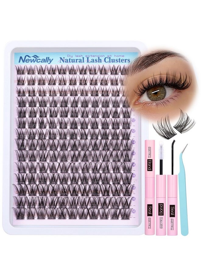 Newcally - Lash Clusters Kit Wispy Natural Cluster Eyelash Extension Kit DIY Lash Extension Kit C Curl 10-16MM Eyelash Clusters Volume Individual Lashes Kit by Newcally - Image 1