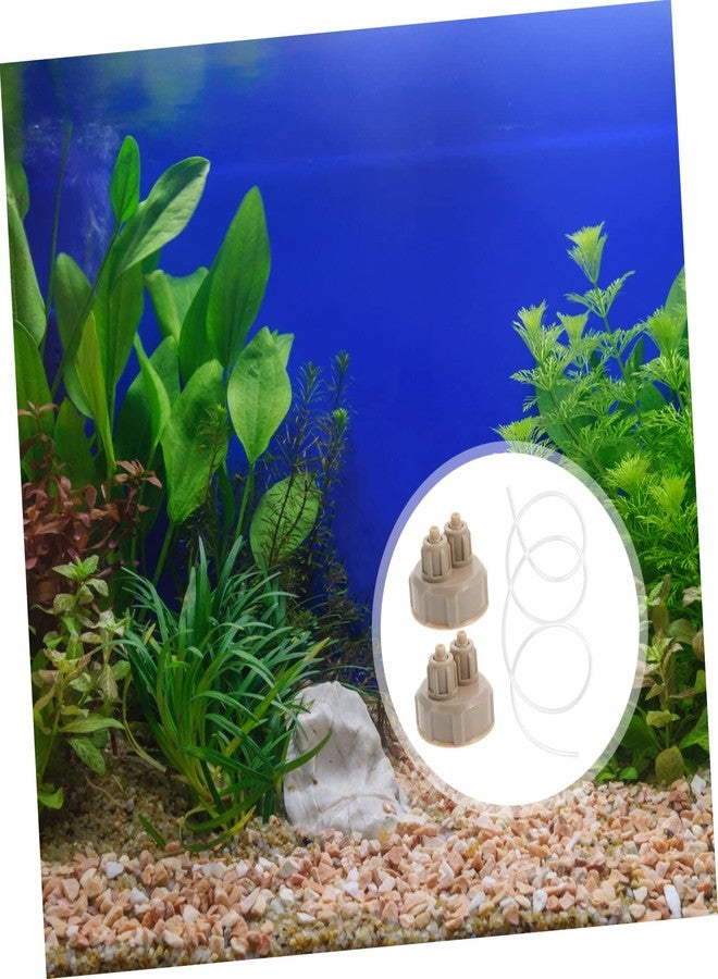 OFFSCH Diy Co2 Generator Bottle Caps for Aquarium Co2 Reactor with 1M Tube Aquarium Accessories Fish Tank Co2 System Replacement Caps - Image 2