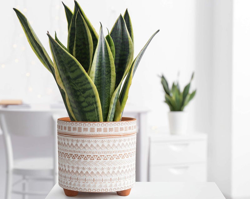 D'vine Dev 8 Inch Terracotta Planter Pot, Modern Design Ceramic Plants Pot with Drainage Hole, Saharan Script, 33-953-D-1 - Image 4
