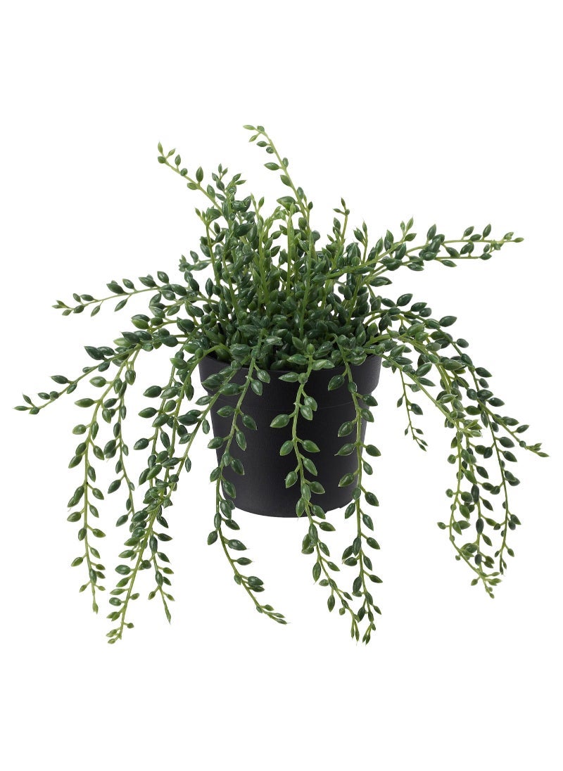 Generic Artificial potted plant in/outdoor String of beads 9 cm 