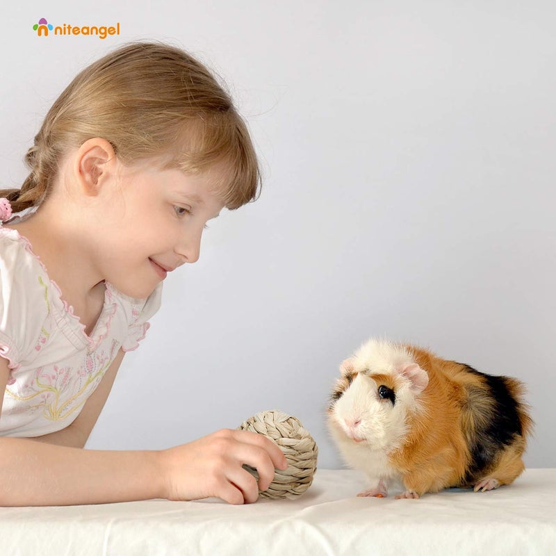 Niteangel Natural Chew Activity Toys Fun Safe Hay Grass Pet Balls for Chinchilla Guinea Pig Rats Rabbits Hamster Gerbil Degu Bunny and Other Small Animals - Image 3
