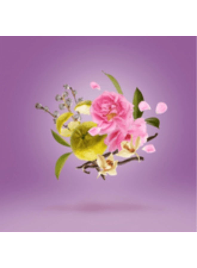 زيرجوف كازاموراتي 1888لا توسكا من زيرجوف 100مل - Image 2