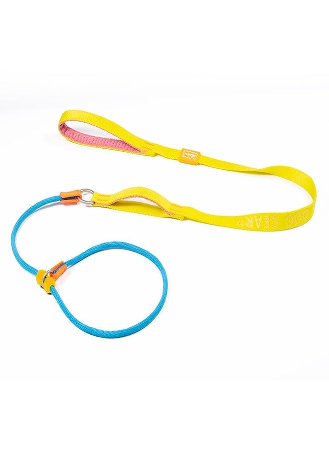 HOWGO Dog Slip Lead Dog Leash,Training Leash,Cinch Leash, No-Pull Slip Leash and Collar,Heavy Duty&Durable,Padded Handle,for All Breeds(Multicolor, 5FT) - Image 1