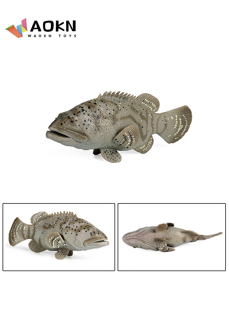 WAOKN Simulated Grouper Model Realistic Epinepheluss Figurines Plastic Grouper Wildlife World Safari Animals Figures for Collection Science Educational Toy  - Image 2