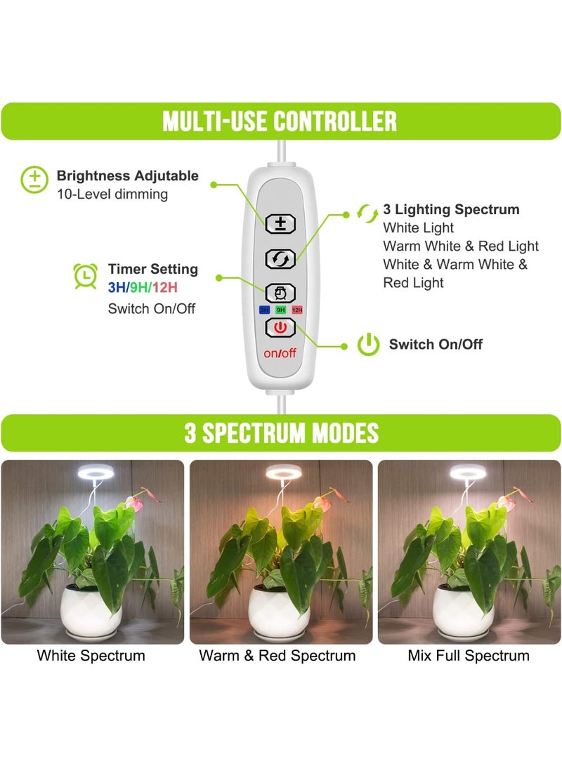 Relex Grow Lights for Indoor Plants, Full Spectrum Growing lamp with Detachable Base, Height Adjustable, 3 Colors, 10 Dimming, Automatic Timer, Plant Light for Succulents Small Plants - Image 3