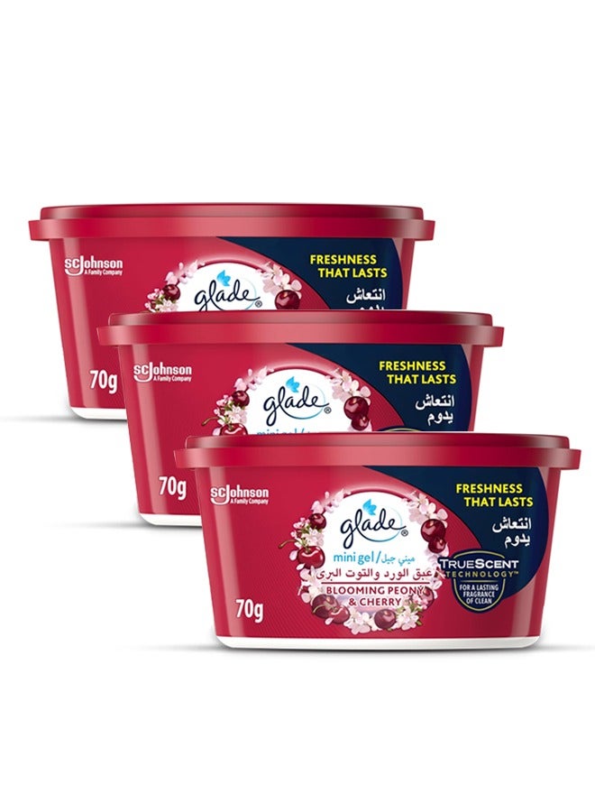 Glade Mini Gel Blooming Peony & Cherry 3x70G Pack of 3 - Image 1