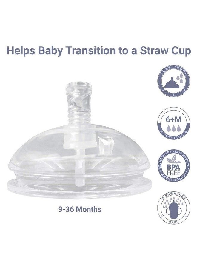 AnPei - Straw And Sippy Cup Transitional Nipples Set Of 2 With Nipple Storage Case Compatible With Comotomo Baby Bottles 5 Oz And 8 Oz - Image 1