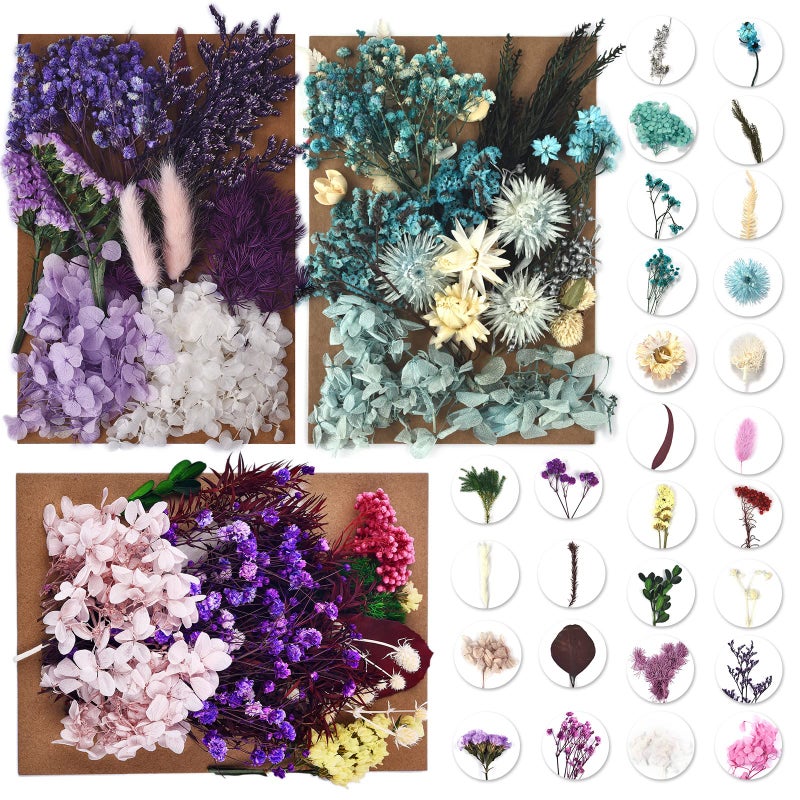 DALARAN 3 Pack Real Dried Pressed Leaf FlowersMultiple Colorful Pressed Flowers Daisies Hydrangeas for Craft Resin Jewelry Making Art Craft DIY