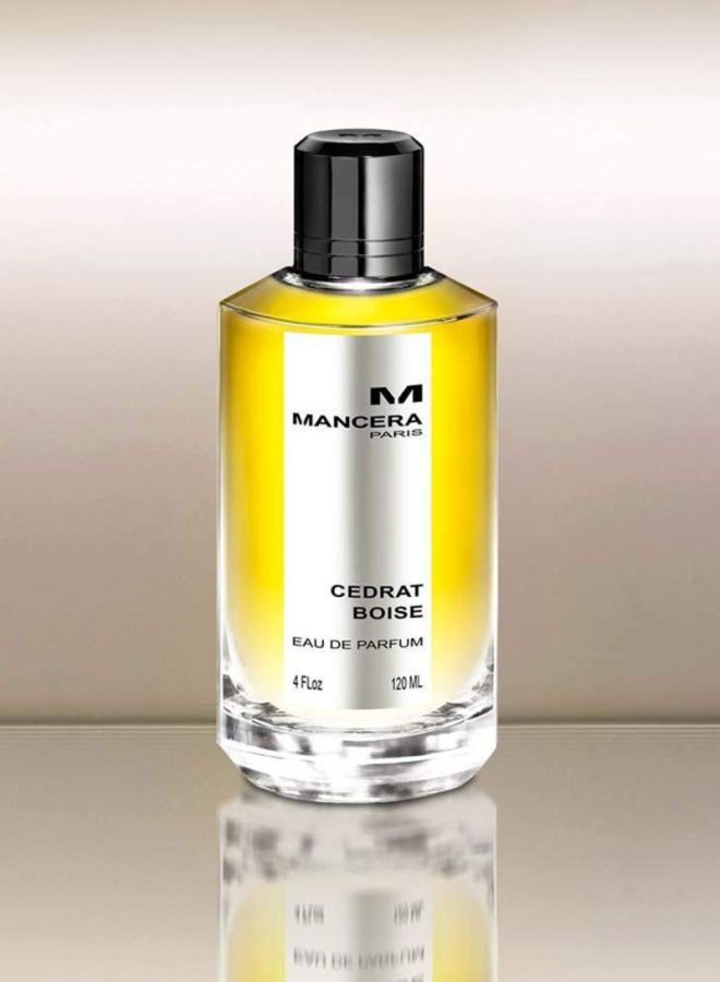 Mancera Cedrat Boise EDP 120ml - Image 4