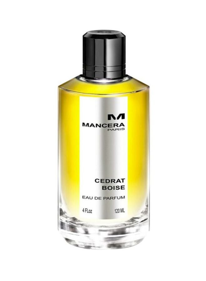 Mancera Cedrat Boise EDP 120ml - Image 1